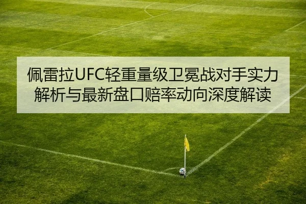 佩雷拉UFC轻重量级卫冕战对手实力解析与最新盘口赔率动向深度解读